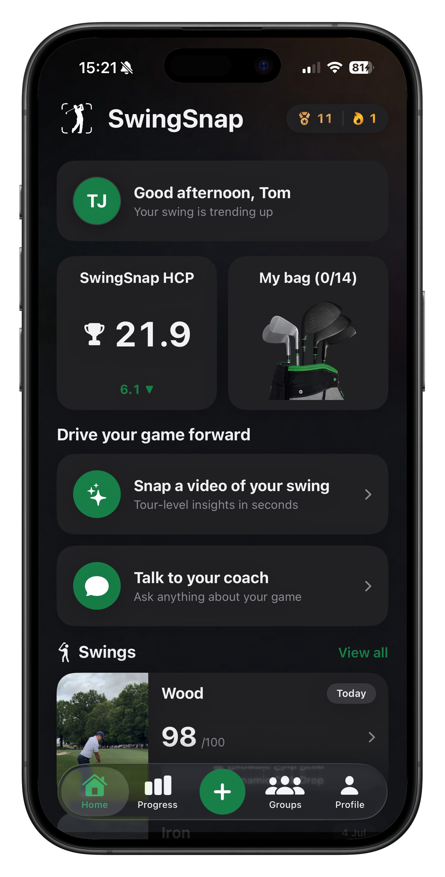 SwingSnap dark mode