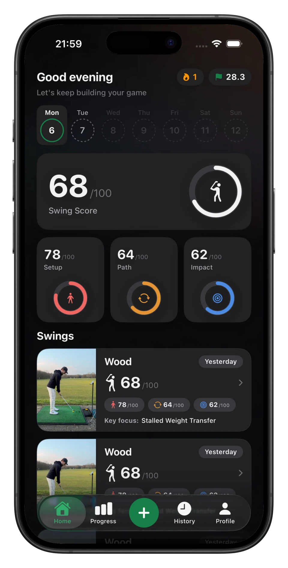 SwingSnap dark mode