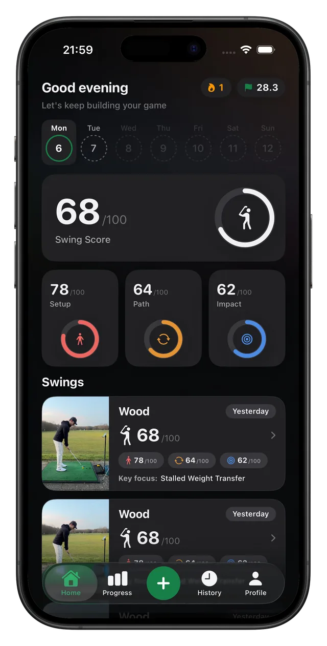 SwingSnap dark mode